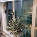 온양하우스 이미지