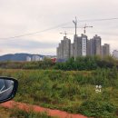 경기도 캠핑장 추천, 양주 패밀리 캠핑장 느티나무 솔직후기