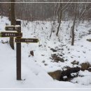 태학산자연휴양림 이미지