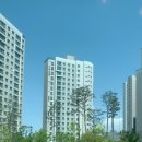 꼼꼼브로우 이미지