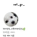 헤어 컹컹 이미지