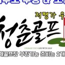 청춘골프투어
