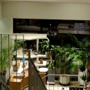 안성1교차로(평화로) 4 | 안성시 "칠곡호수공원" 음악분수와 "정진원의 커피볶는집" 원곡 본점 솔직 후기