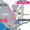 2025 서울신문 하프 마라톤대회﻿ 5/17 이미지