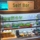 도야지한마리 이미지