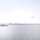 인천공항초등학교신도분교장 이미지