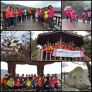 우체국 노동조합 이미지