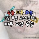 말티와푸들이사는집 | 푸들 교상(물림) 피부 봉합 수술 후기, #45만원