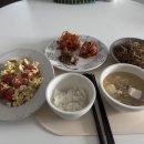 이레어린이집 | 알잘딱깔센 안양산후도우미 이레아이맘 vip 서비스 추천 👩🏻‍🏫 (가사, 아기케어 짱짱)