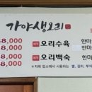 가야생오리 이미지