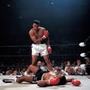 브로스 복싱 이미지