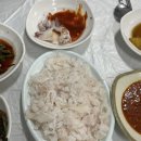일조바다장어 이미지