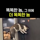 네박자 - 동작구 여의대방로24길 16 | 네박자