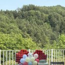 도감마을 | 양평 1박2일 | 임산부 친구와 함께한 양평 감성숙소 [연화도감 들꽃] 내돈내산 후기
