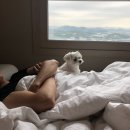 서울척탑병원 | [고양시 덕양구] 원흥·삼송·지축·도래울 실거주 5번 이사한 육아맘의 솔직 비교 후기