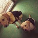 여아농장 이미지