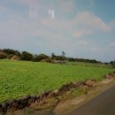 천지인장묘 이미지