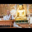 [스님의 하루]“불교가 현대인들에게 양약이 될 수밖에 없는 이유” 이미지
