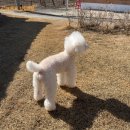 공심이네 | [국내 여행] 평택 공심이네.