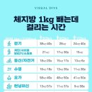 소봄 이미지