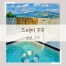 꾸꾸스테이 이미지