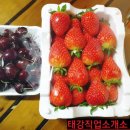 닭꾼.자연애임실치즈피자 | 끼니 &amp; 주전부리 이야기 ] * 잘 먹고 잘 살자 ♡* - 피자, 치킨, 빵, 샌드위치, 중식, 양식,먹거리,간식