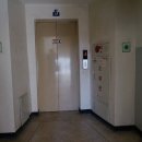 동성백두 이미지