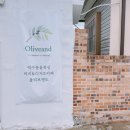 올리브앤드 이미지