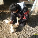 북일주유소 이미지