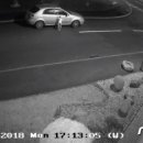 날데려가개 이미지