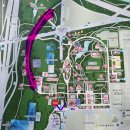 서울숲 무지개터널 앞 | 서울 벚꽃 명소 서울숲 벚꽃길 가는 방법, 위치, 주차 꿀팁