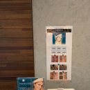 스파인더파리 이미지