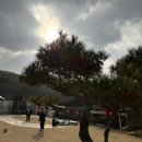 키즈 엘림 | [경주 풀빌라] 키즈엘림 풀빌라