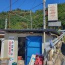 묵호고등학교 | 강원도 묵호 맛집 - 고향의맛 손칼국수 감자옹심이 (내돈내산후기, 애견동반)