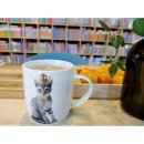 대곡4세천 이미지