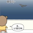 이끼공예
