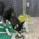 조영메디칼 이미지