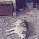 등대지기펜션 이미지