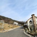상복농장 티스토리