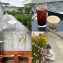 초당고래로스팅카페(RoastingCafe) | 강릉 카페 초당고래로스팅카페 여유 그 자체