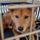 분당우리동물의료센터 이미지