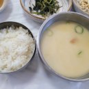 자작나무마을 | 인제 자작나무숲 점심 등산후 맛있는 황태마을후기