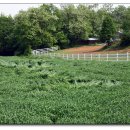 농도원목장 이미지