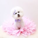 원 그루밍 이미지