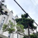 하우스 언더바 이미지