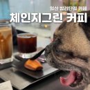 애견수족관 | [일산 밤리단길 카페] 수족관st 이색카페, 체인지 그린 버터떡 후기(애견동반 가능)