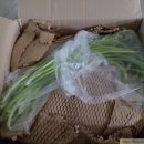 투원스토어 | 창녕에서 유미언니, 창녕 자색양파 10kg 구입 후기/ 우리 집 먹거리로 구입