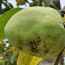 협동농약사 이미지