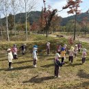 제비꽃반, 참나리반의 10월 4주 숲놀이터 이야기 이미지