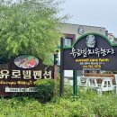 런던당구장 | 경주펜션 런던풀빌라 모임장소추천, 수영장·스파·노래방 완비